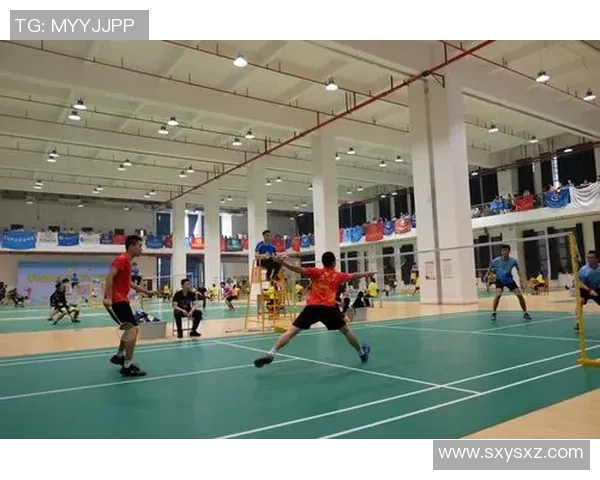 羽毛球状态排行榜揭晓北京羽毛球队荣登第七名位置