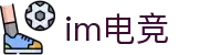 im电竞·(中国)电子竞技平台